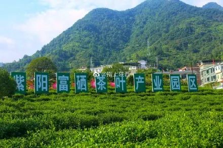 宜春富硒大米研究报告（江西宜春富硒大米多少钱一斤）-硒宝网