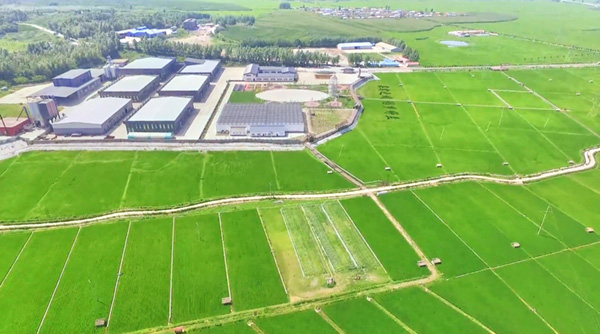 长春富硒大米有限公司(吉林富硒大米销售)-硒宝网