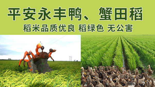 长春富硒大米有限公司(吉林富硒大米销售)-硒宝网