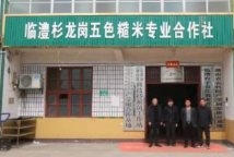 常德有富硒大米嘛最近（最好的富硒大米多少钱一斤）-硒宝网