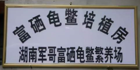 常德有富硒大米嘛最近（最好的富硒大米多少钱一斤）-硒宝网