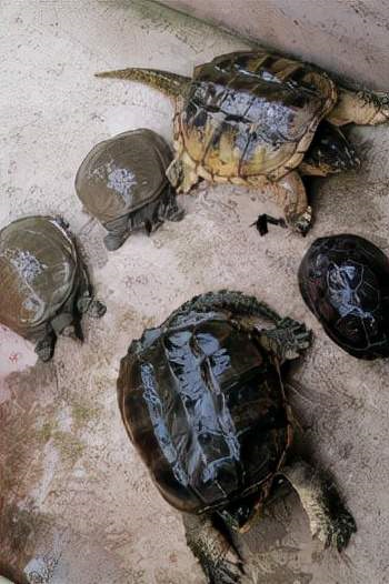 常德有富硒大米嘛最近（最好的富硒大米多少钱一斤）-硒宝网