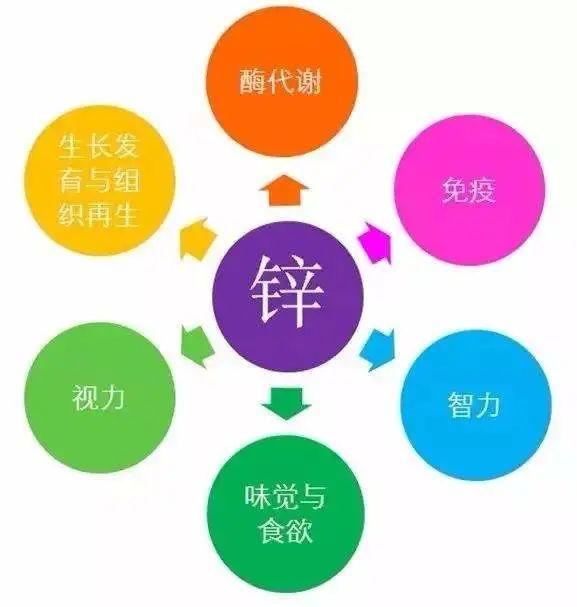 什么可以补锌（补锌可以长高吗）-硒宝网