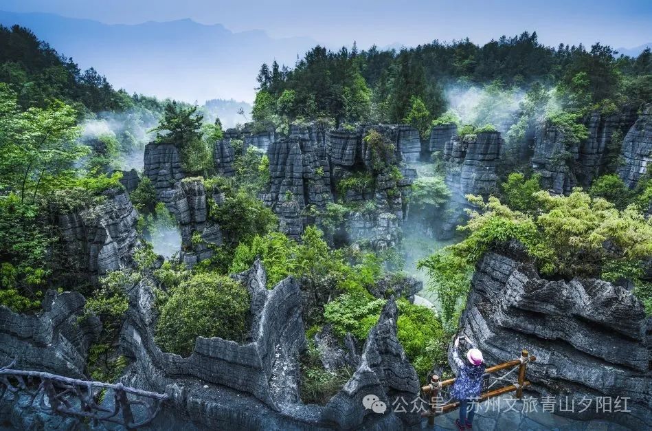 湖北恩施景阳富硒大米（湖北恩施富硒大米品牌）-硒宝网