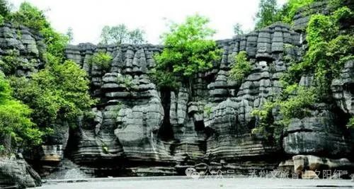 湖北恩施景阳富硒大米（湖北恩施富硒大米品牌）-硒宝网