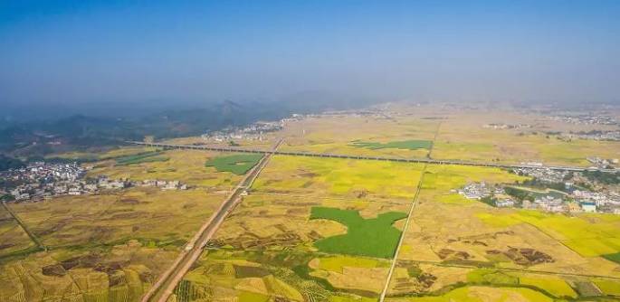 贵港富硒大米哪里有卖(广西贵港富硒大米)-硒宝网