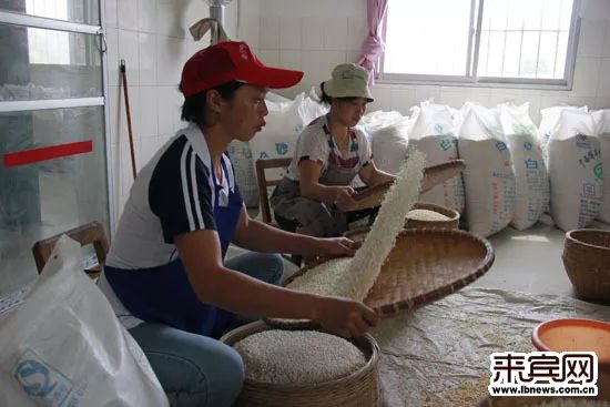 贵港富硒大米哪里有卖(广西贵港富硒大米)-硒宝网