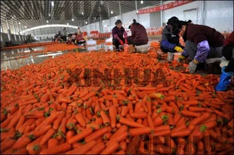 贵港富硒大米哪里有卖(广西贵港富硒大米)-硒宝网