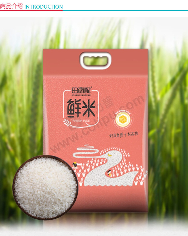 长沙富硒大米生产基地(富硒大米市场前景)-硒宝网