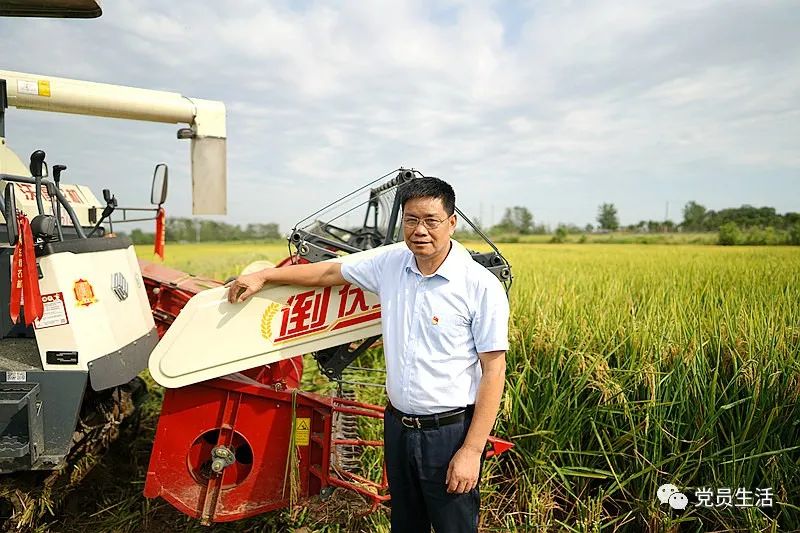 华丰合作社 富硒大米（丰城富硒米多少一斤）-硒宝网