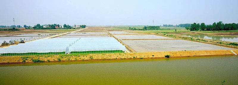 华丰合作社 富硒大米（丰城富硒米多少一斤）-硒宝网