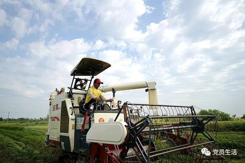 华丰合作社 富硒大米（丰城富硒米多少一斤）-硒宝网