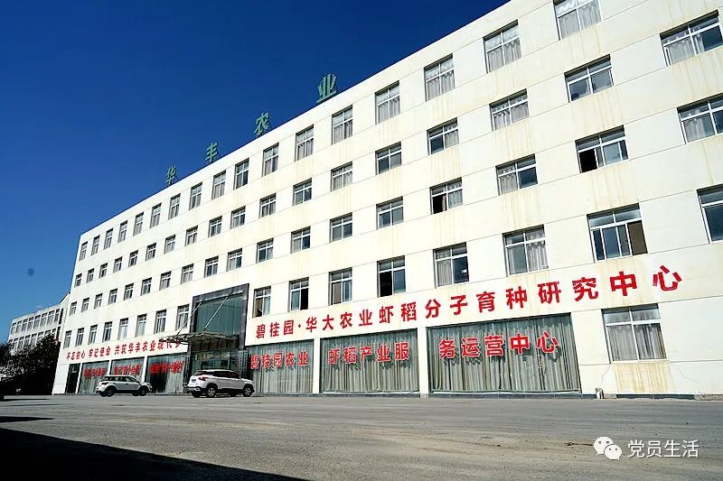 华丰合作社 富硒大米（丰城富硒米多少一斤）-硒宝网