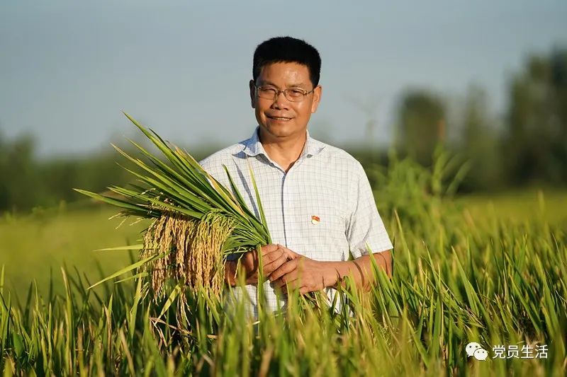 华丰合作社 富硒大米（丰城富硒米多少一斤）-硒宝网