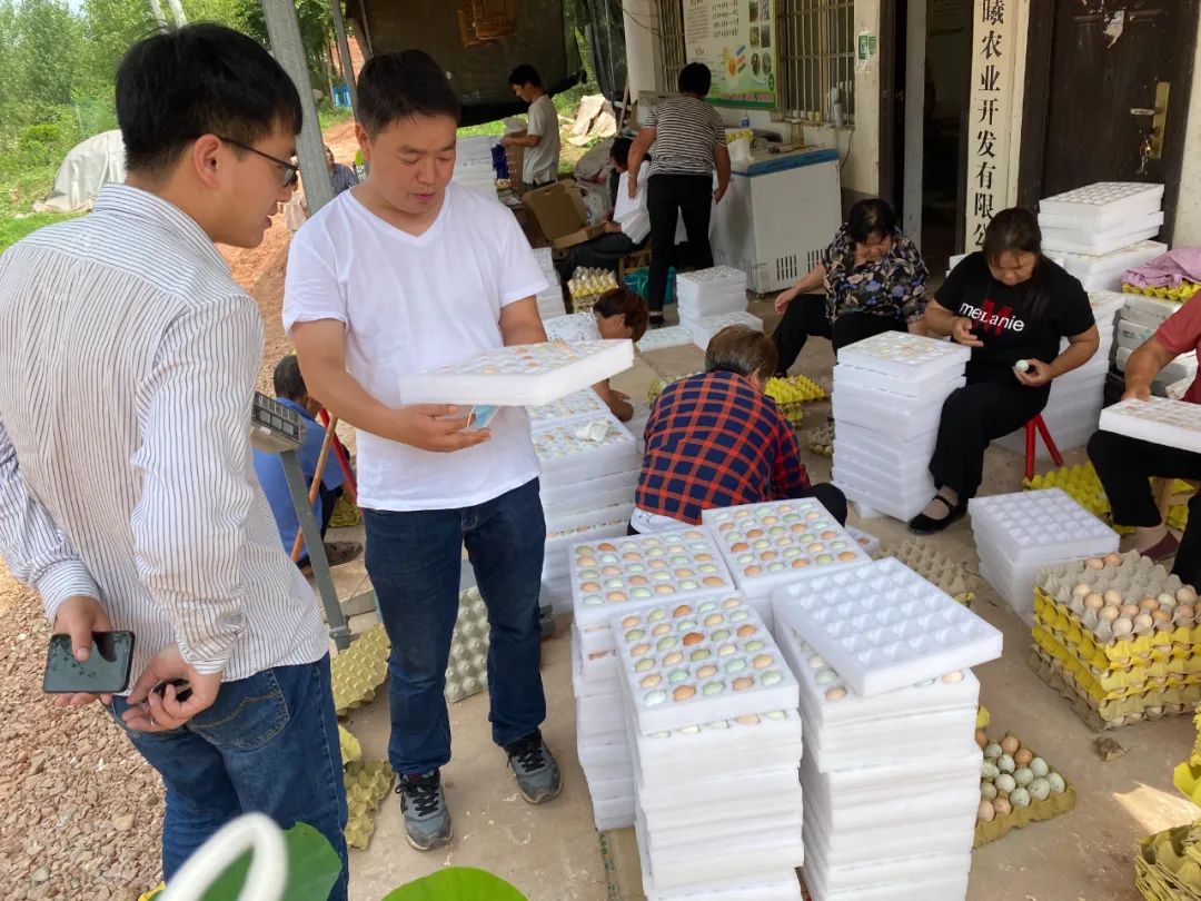 洛阳富硒大米厂家批发(洛阳大米多少钱一斤)-硒宝网