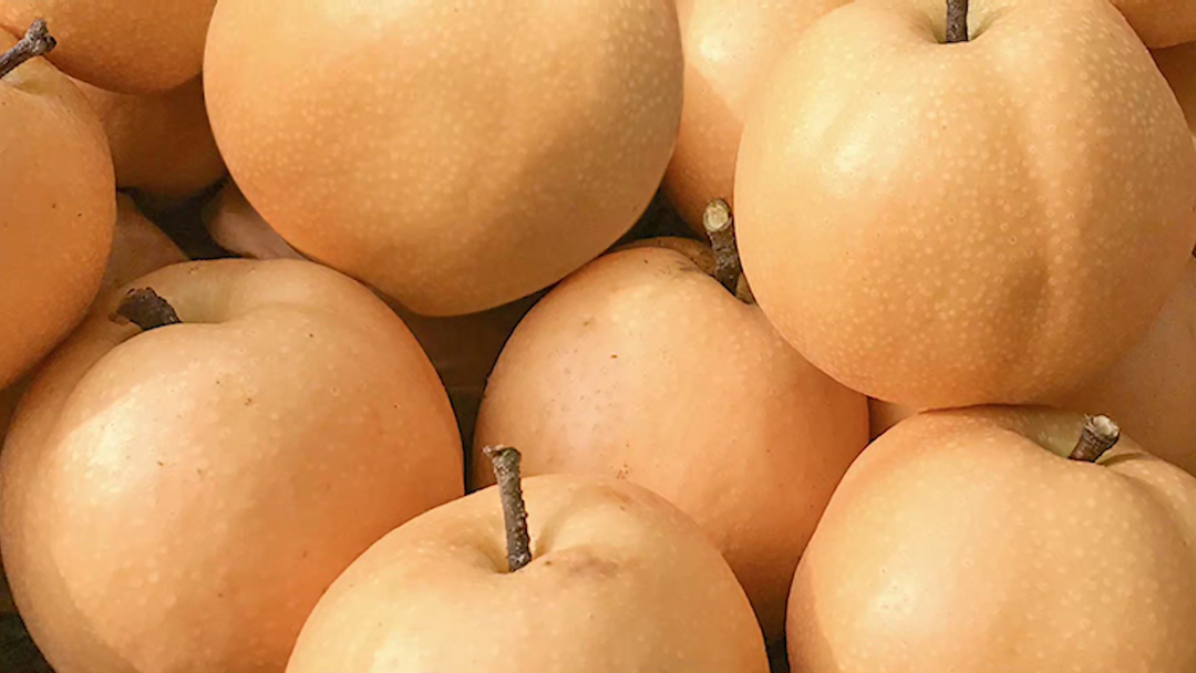 洛阳富硒大米厂家批发(洛阳大米多少钱一斤)-硒宝网