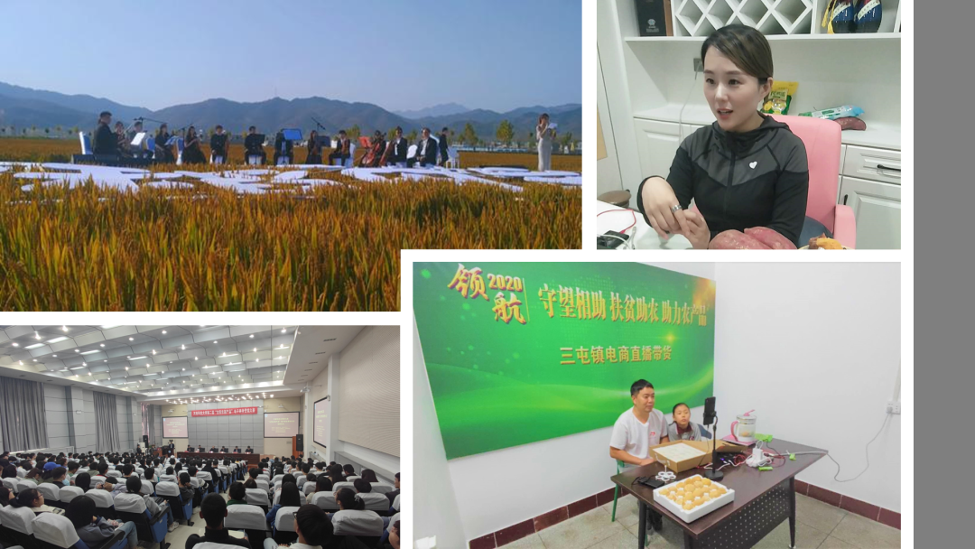 洛阳富硒大米厂家批发(洛阳大米多少钱一斤)-硒宝网