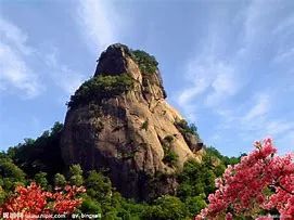 洛阳富硒大米厂家批发(洛阳大米多少钱一斤)-硒宝网