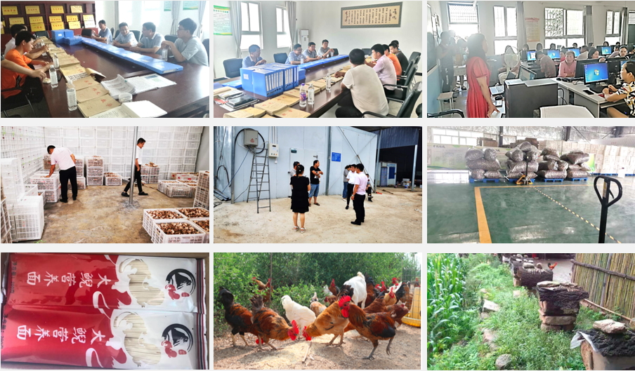 洛阳富硒大米厂家批发(洛阳大米多少钱一斤)-硒宝网