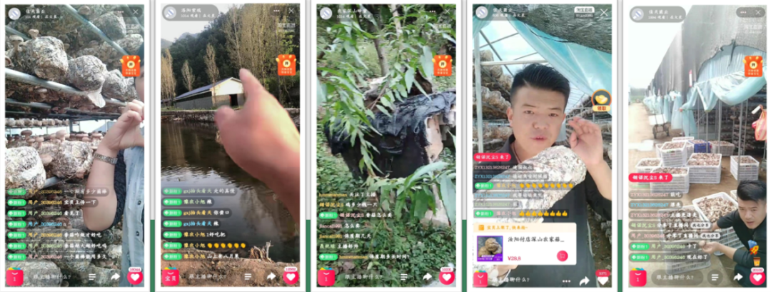 洛阳富硒大米厂家批发(洛阳大米多少钱一斤)-硒宝网