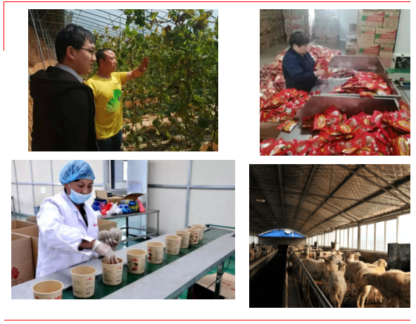 洛阳富硒大米厂家批发(洛阳大米多少钱一斤)-硒宝网