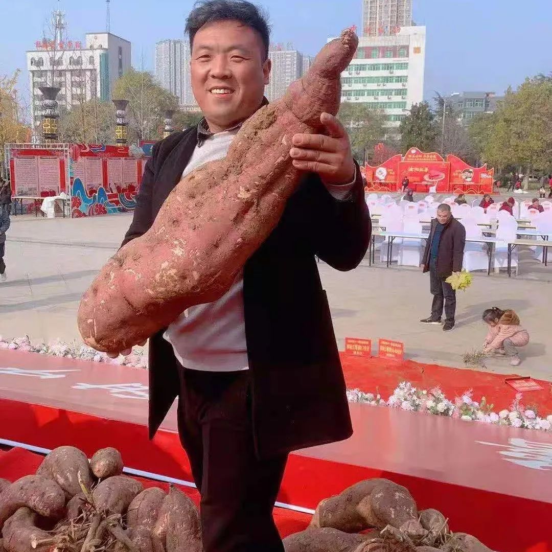 洛阳富硒大米厂家批发(洛阳大米多少钱一斤)-硒宝网