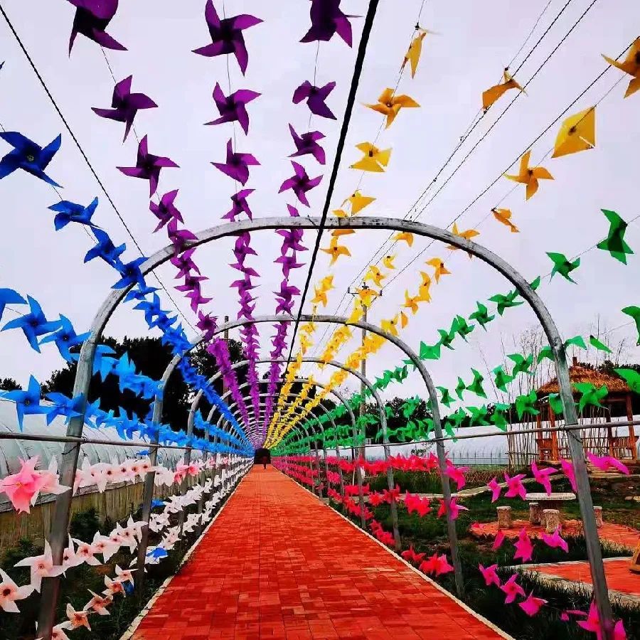 洛阳富硒大米厂家批发(洛阳大米多少钱一斤)-硒宝网