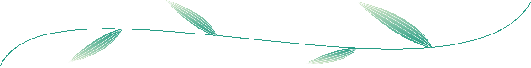 富硒大米是哪里的好吃（富硒大米不好吃）-硒宝网