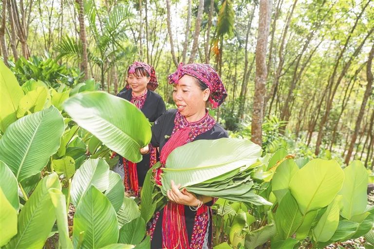 富硒大米是哪里的好吃（富硒大米不好吃）-硒宝网