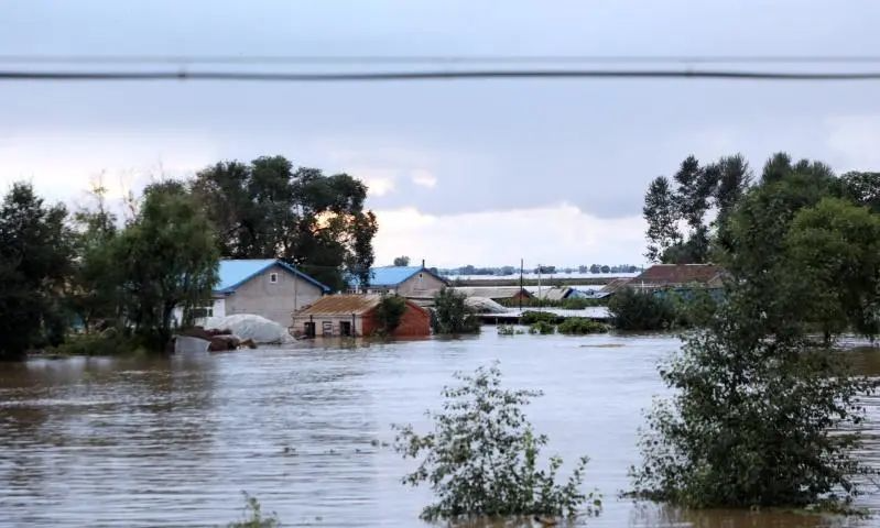 富硒大米未达国家标准（富硒大米的执行标准）-硒宝网
