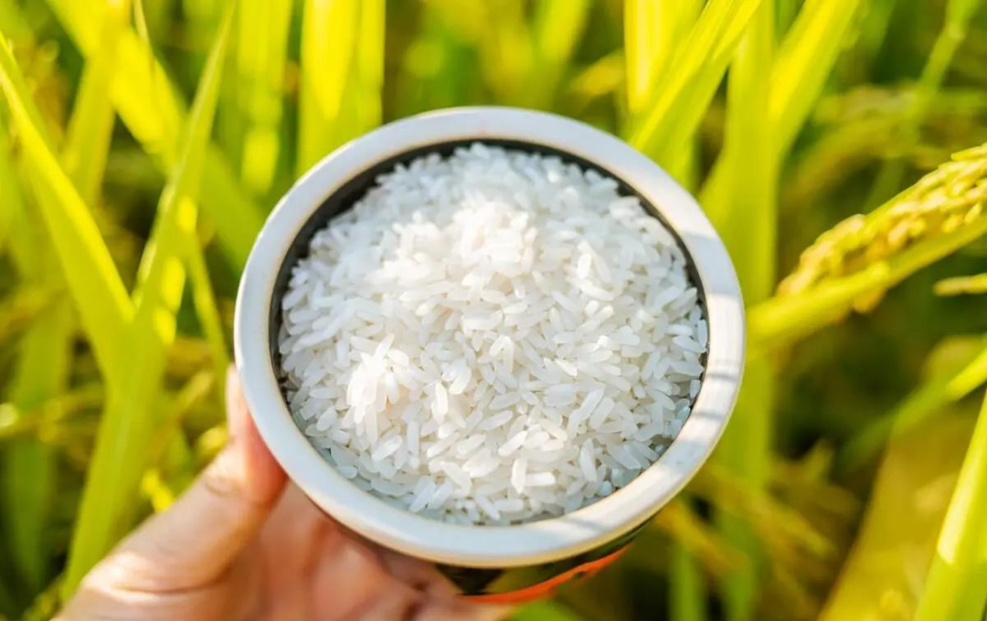 富硒大米未达国家标准（富硒大米的执行标准）-硒宝网