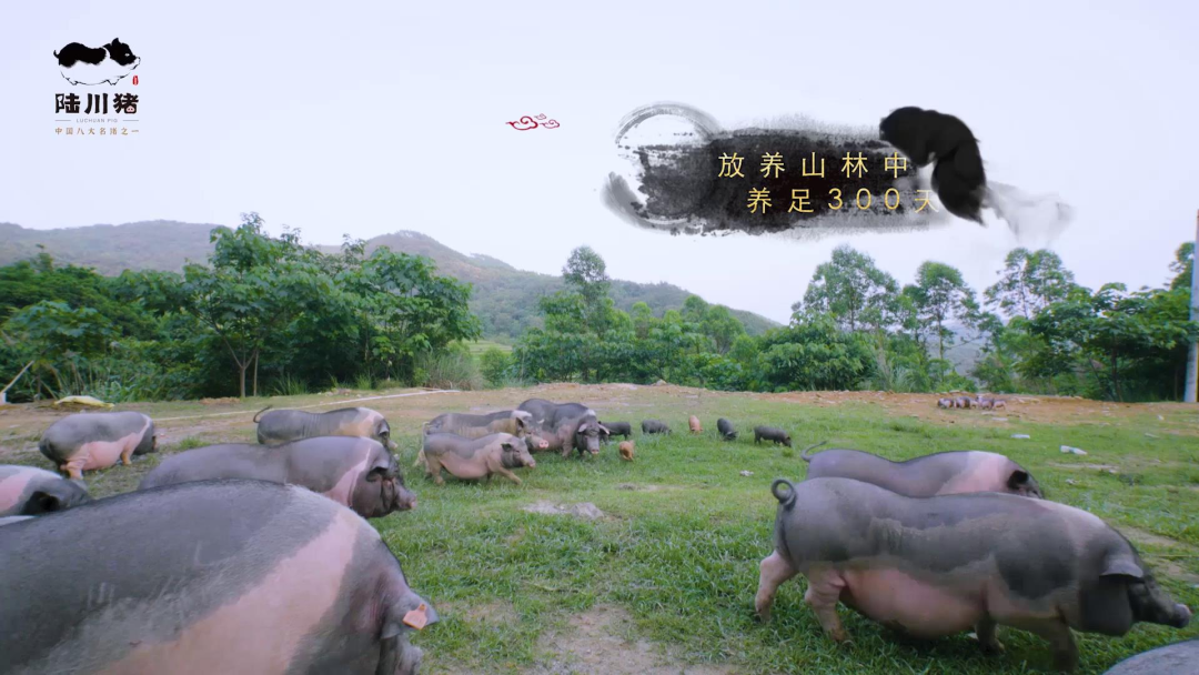 广西哪里的富硒大米好(广西扶贫产品富硒大米)-硒宝网