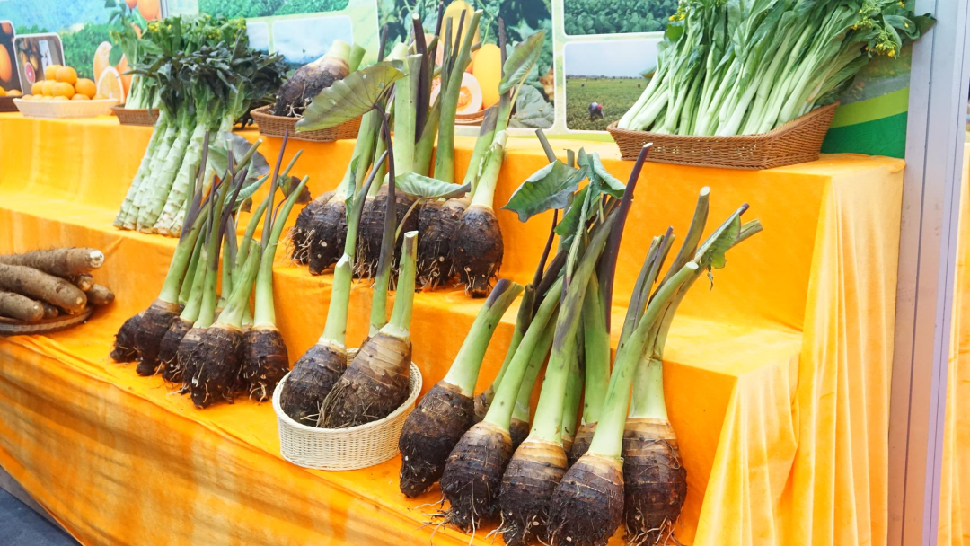 广西哪里的富硒大米好(广西扶贫产品富硒大米)-硒宝网