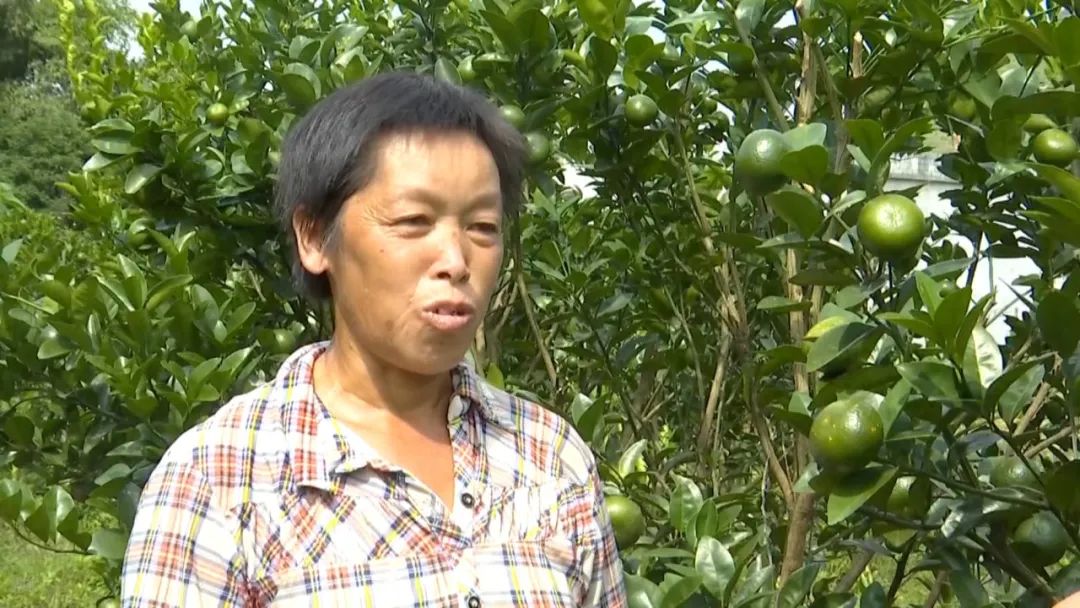 广西哪里的富硒大米好(广西富硒米哪个好)-硒宝网