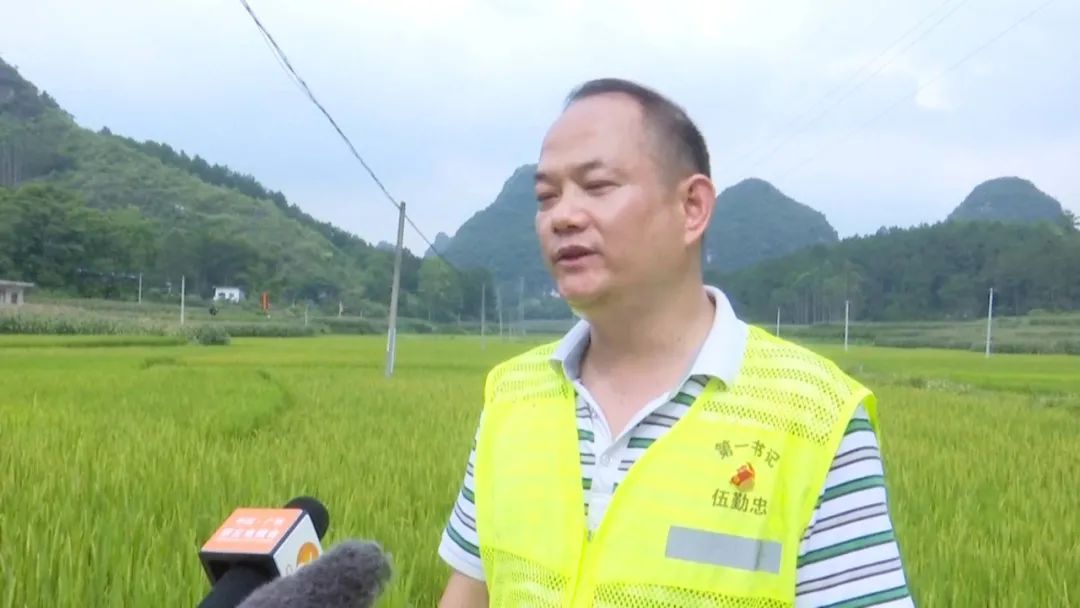 广西哪里的富硒大米好(广西富硒米哪个好)-硒宝网