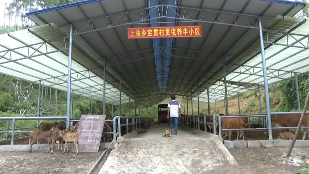 广西哪里的富硒大米好(广西富硒米哪个好)-硒宝网