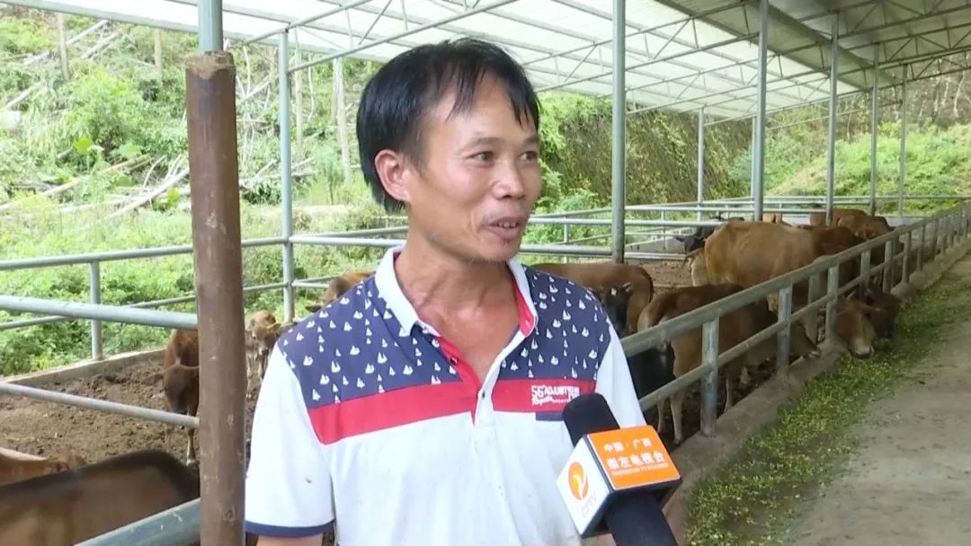 广西哪里的富硒大米好(广西富硒米哪个好)-硒宝网