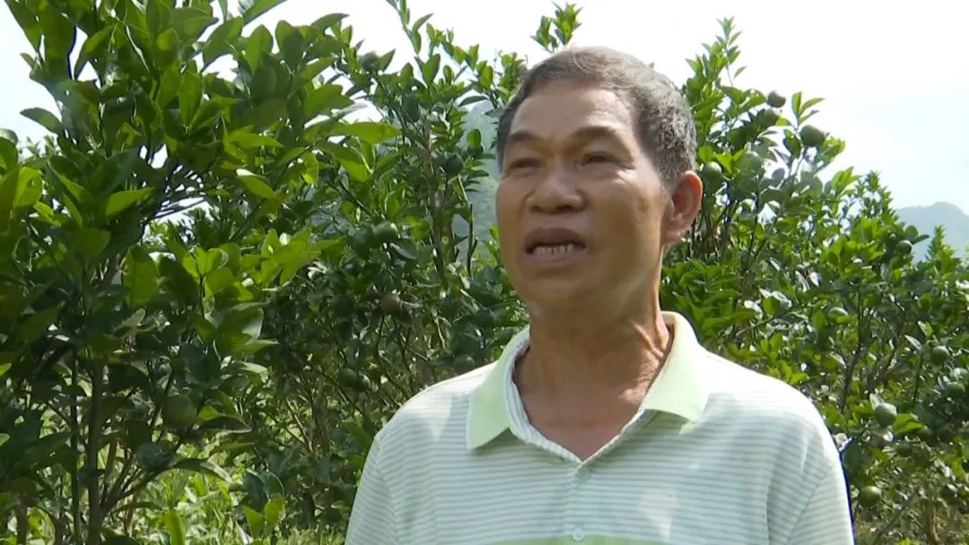 广西哪里的富硒大米好(广西富硒米哪个好)-硒宝网