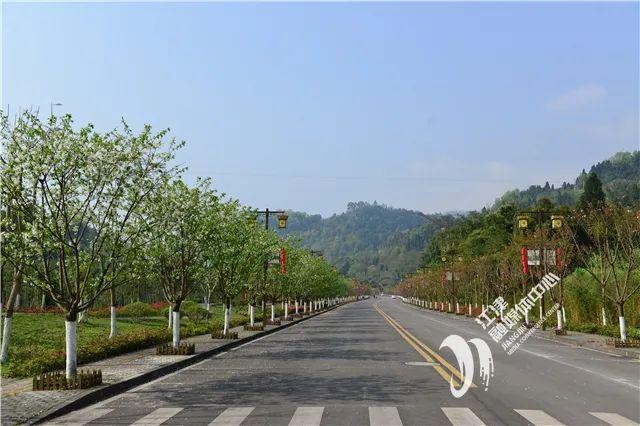 江津区中山镇富硒大米(富硒大米哪里有卖)-硒宝网