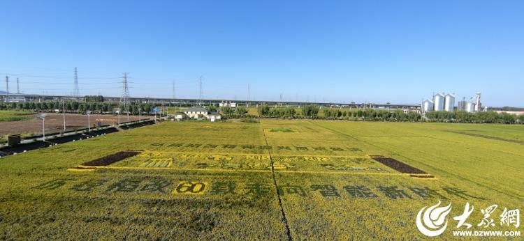 富硒大米可以蒸米饭吗（富硒大米煮饭好吃还是煮粥好吃）-硒宝网