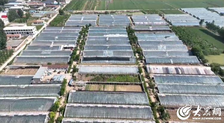 富硒大米可以蒸米饭吗（富硒大米煮饭好吃还是煮粥好吃）-硒宝网