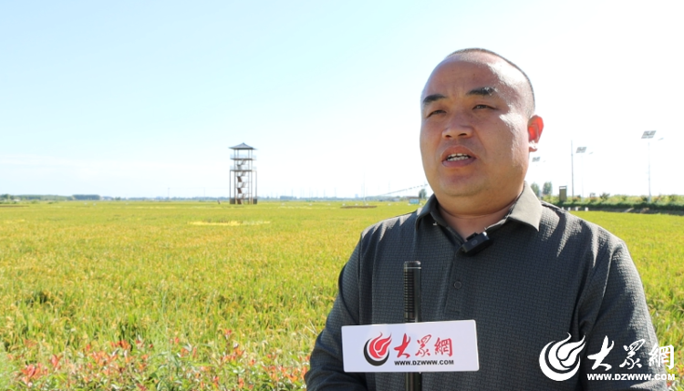富硒大米可以蒸米饭吗（富硒大米煮饭好吃还是煮粥好吃）-硒宝网