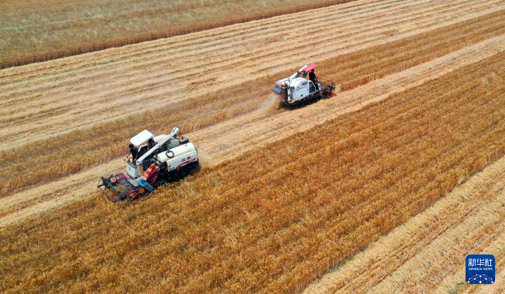 确山富硒大米之乡留庄(确山县留庄大米)-硒宝网