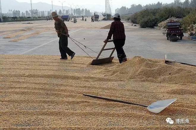 确山富硒大米之乡留庄(确山县留庄大米)-硒宝网