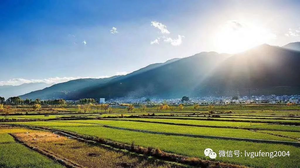 吉林富硒大米生产基地(吉林省大米产区)-硒宝网