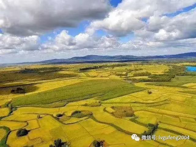 吉林富硒大米生产基地(吉林省大米产区)-硒宝网