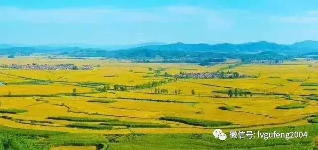 吉林富硒大米生产基地(吉林省大米产区)-硒宝网