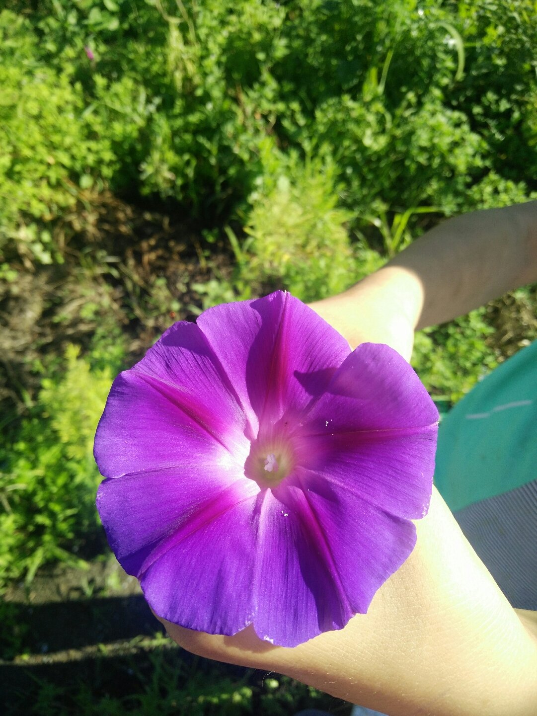 黑龙江佳木斯富硒大米（黑龙江富硒大米多少钱一斤）-硒宝网