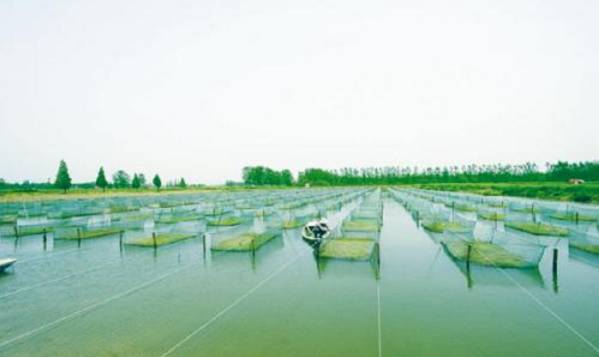 鱼河富硒大米销售规模(渔米河大米)-硒宝网