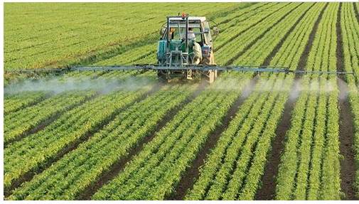 鱼河富硒大米销售规模(渔米河大米)-硒宝网